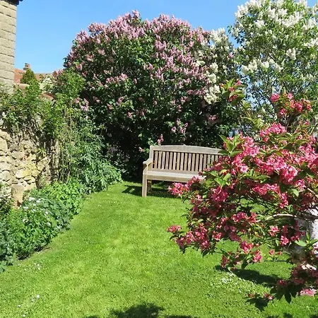 Pear Tree House Bed and Breakfast