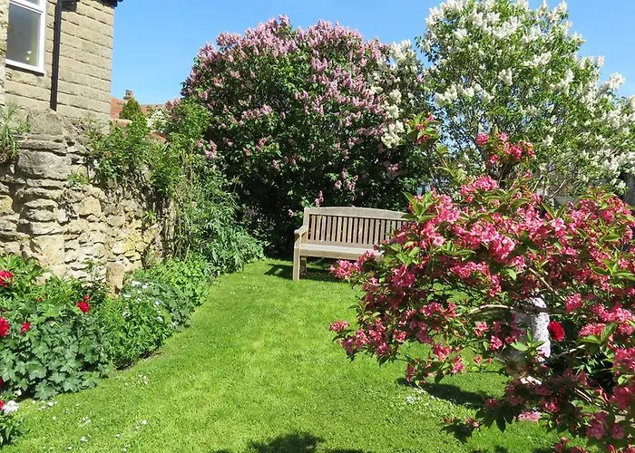 Pear Tree House Bed & Breakfast